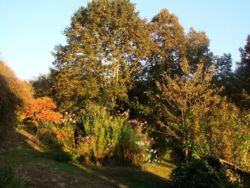 Gîte de France Gite de chouvert  "francois" 3 épis