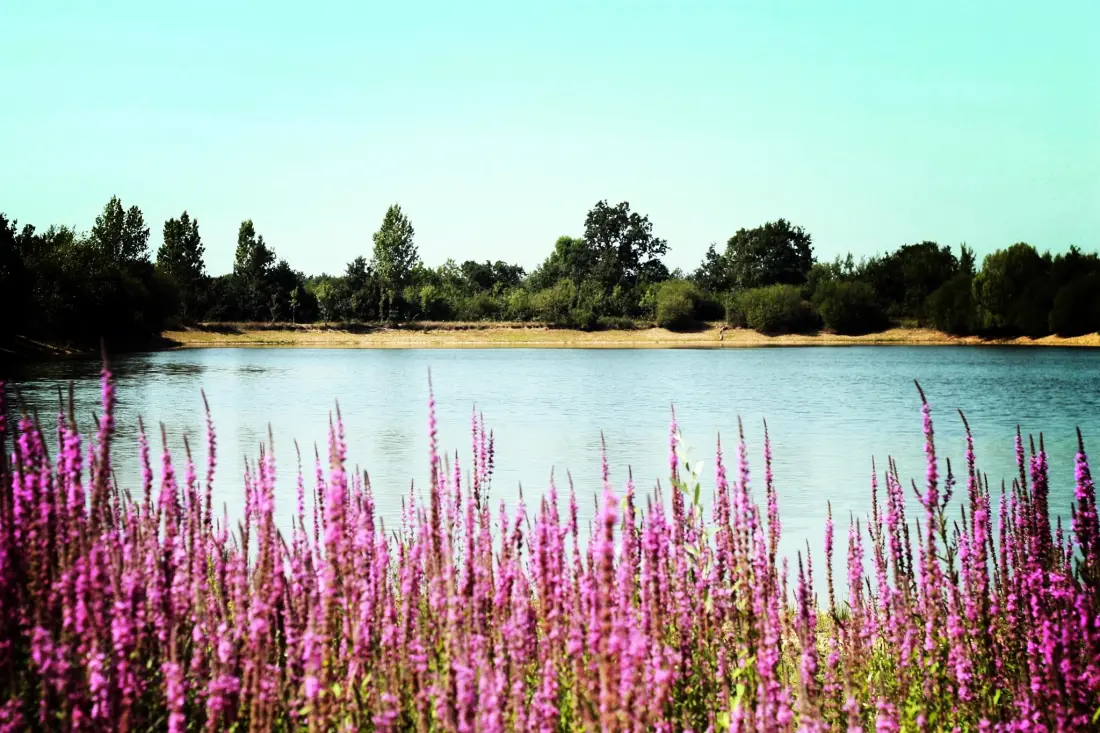 Camping Au Pré de l'Etang 3 étoiles★★★