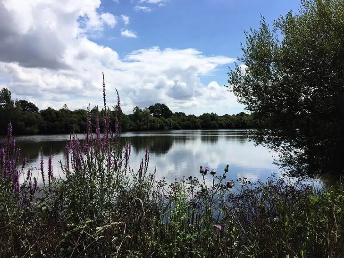 Camping Au Pré de l'Etang 3 étoiles★★★