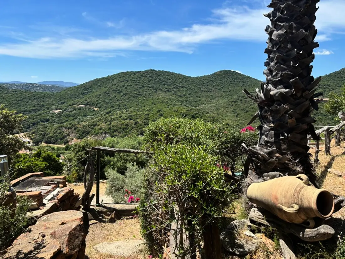 Location de Vacances Sainte Lucie de Porto Vecchio 4