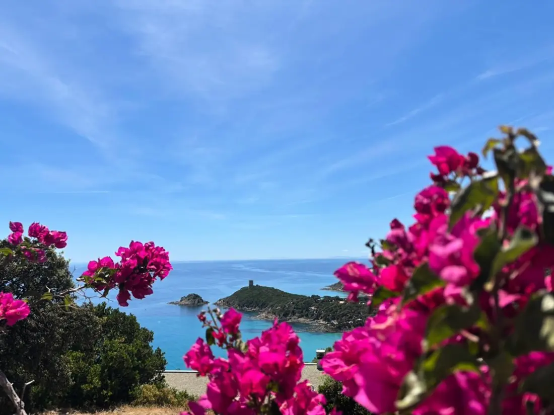 Location de Vacances Sainte Lucie de Porto Vecchio 4