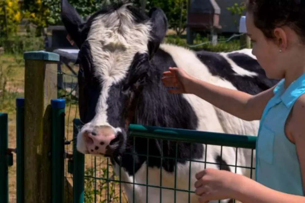 Camping Paradis Utah Beach 41 étoiles★