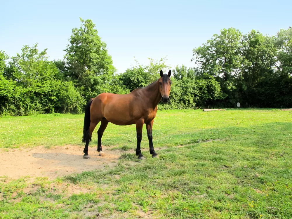 Maison de Vacances Sainte Marie Du Mont