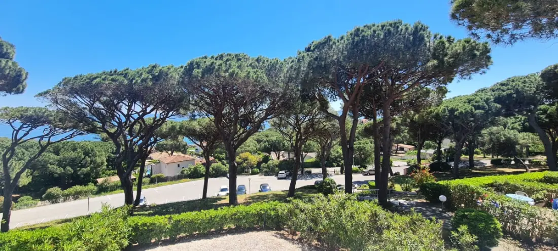Bel Appartement Avec Piscine à Sainte-maxime