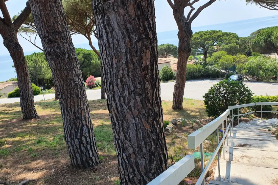 Bel Appartement Avec Piscine à Sainte-maxime