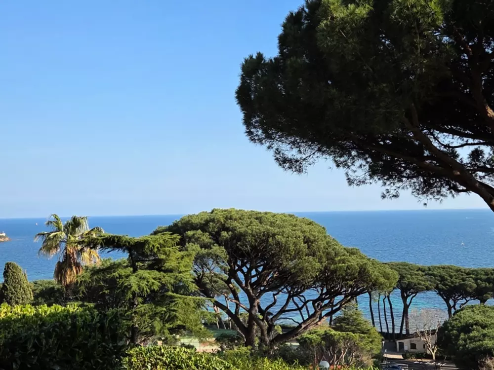 Location de Vacances Sainte-Maxime 328