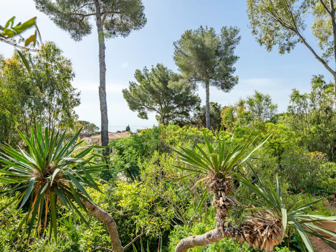 Maison de Vacances Sainte Maxime