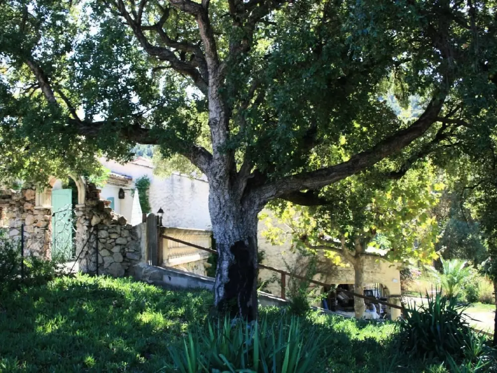 Maison de Vacances Sainte Maxime