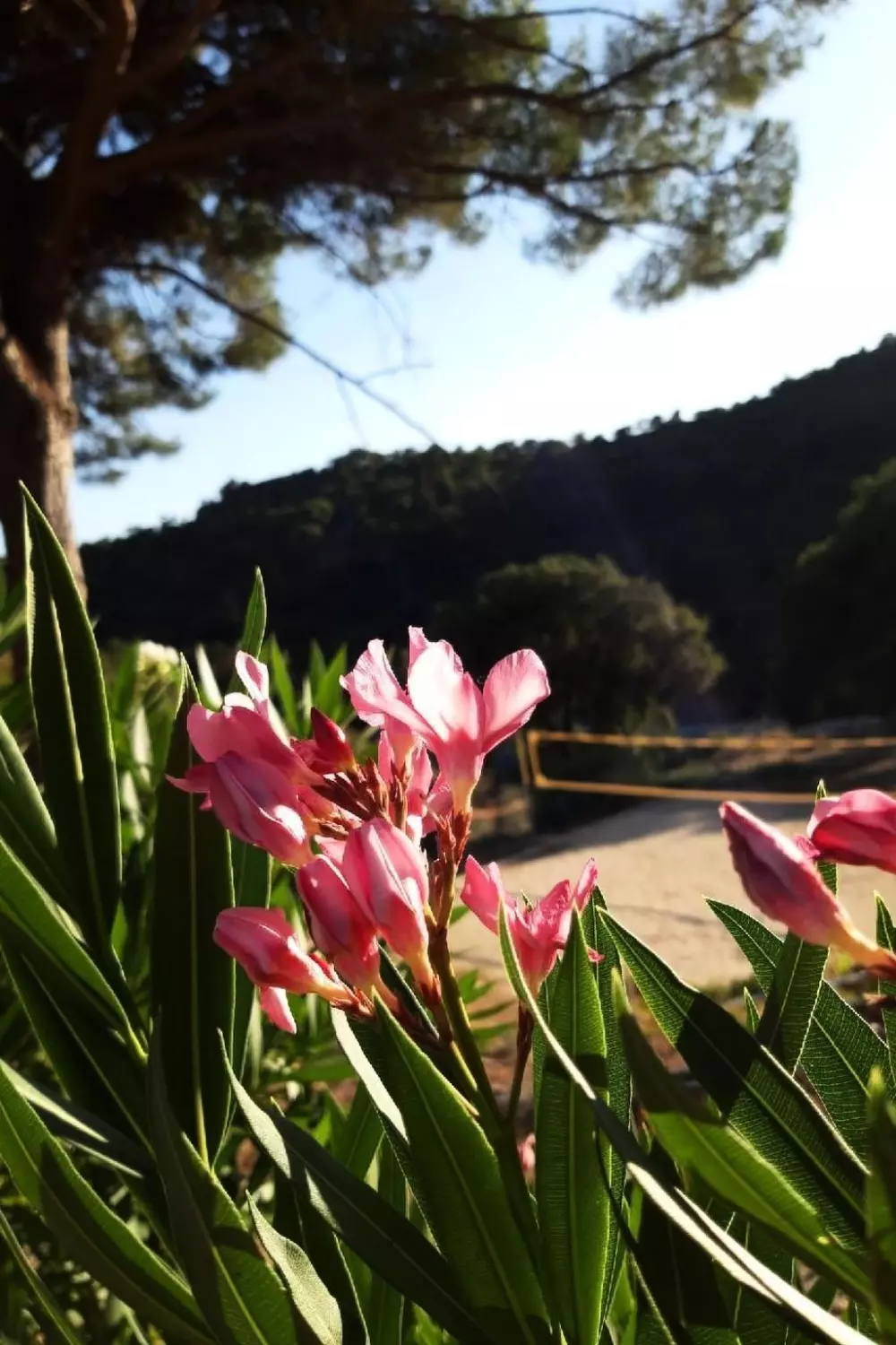 Maison de Vacances Sainte Maxime