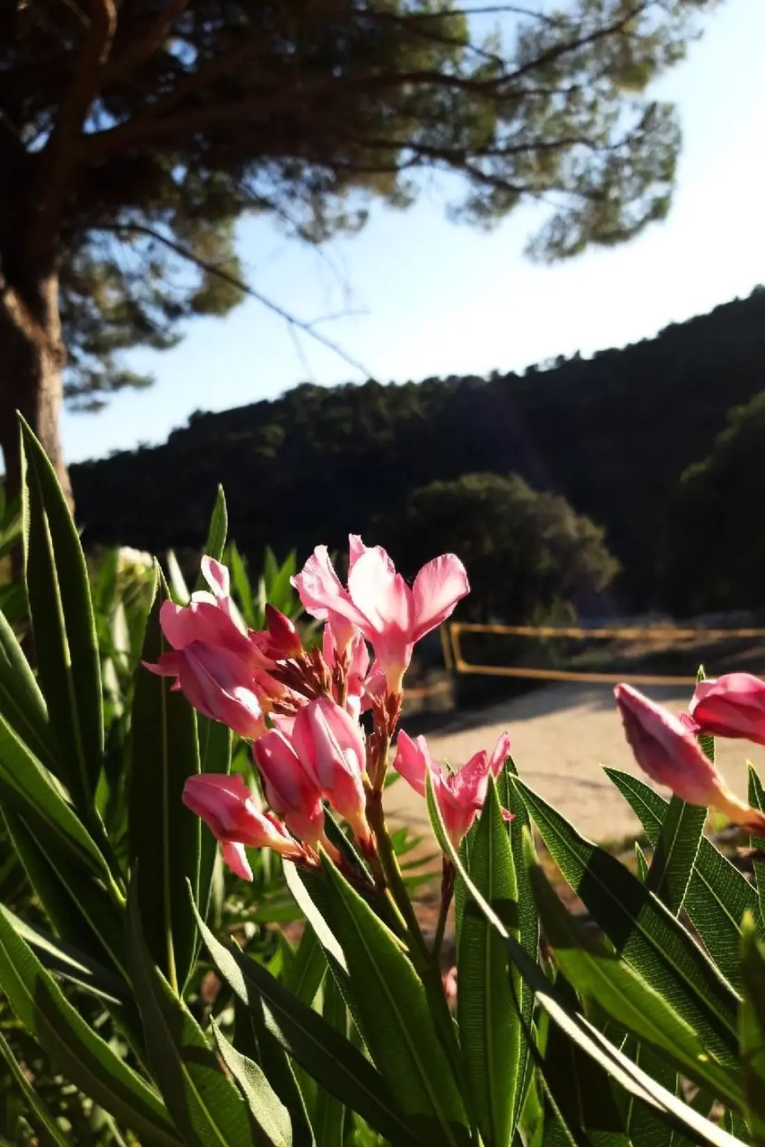 Maison de Vacances Sainte Maxime