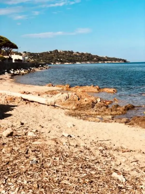 Vue Mer • Accès Plage à Pied • Piscine