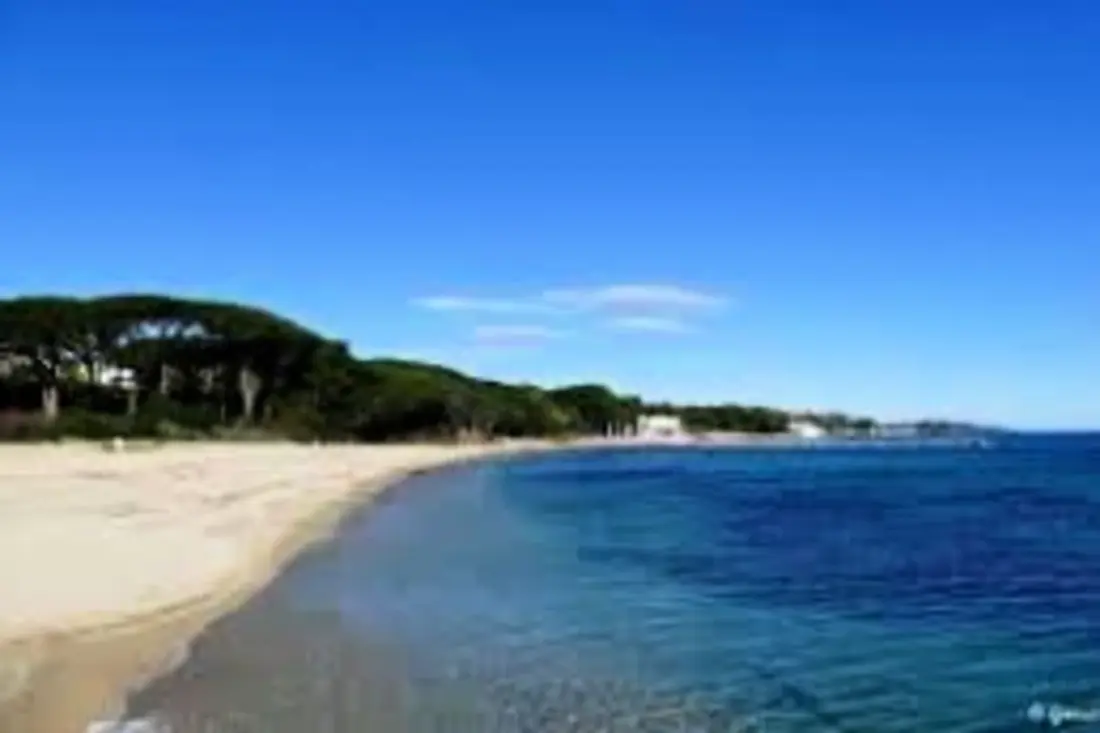 Vue Mer • Accès Plage à Pied • Piscine