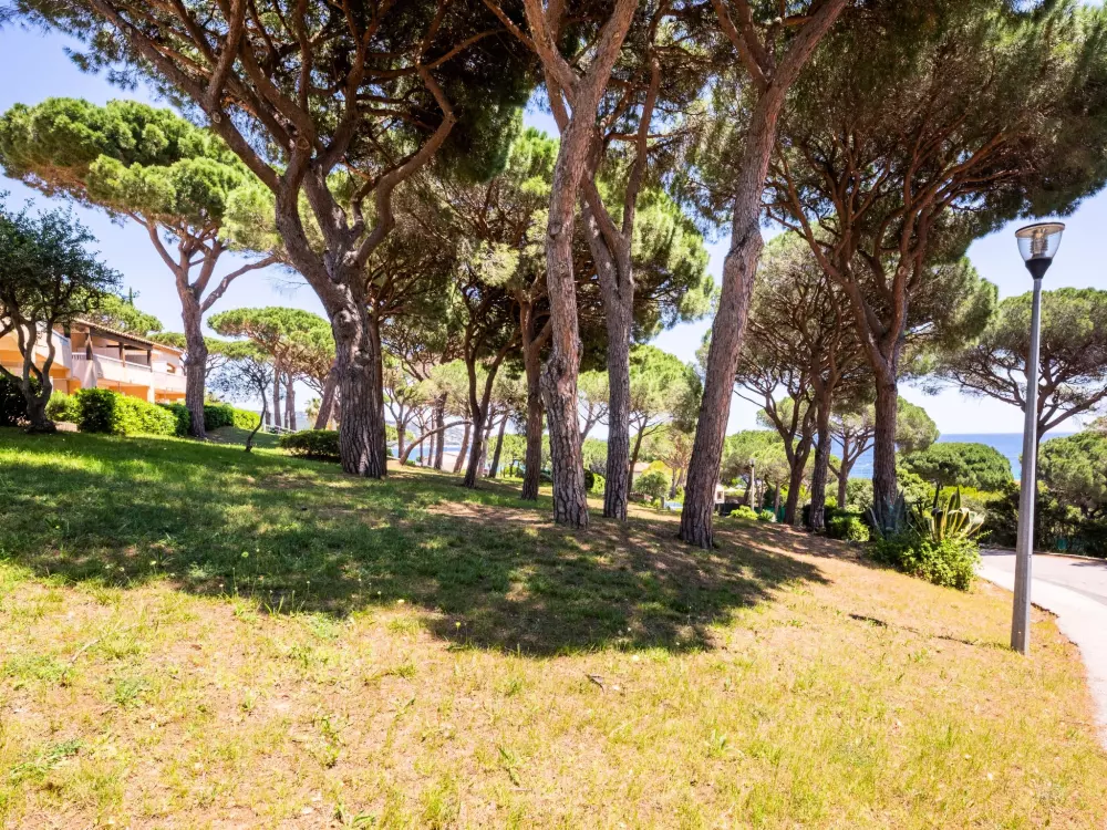 Résidence Les Coteaux de la Nartelle