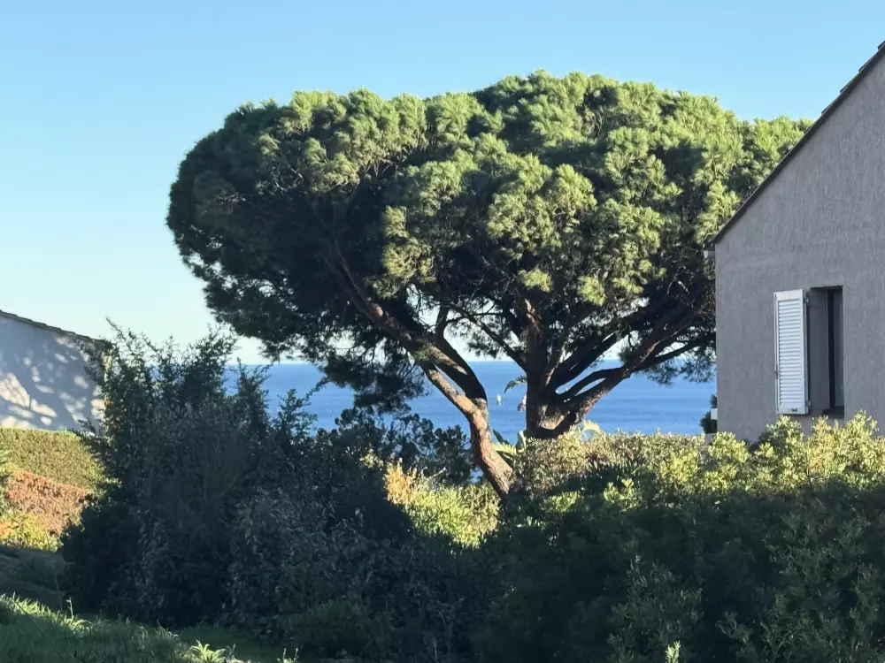 Résidence Les Coteaux de la Nartelle