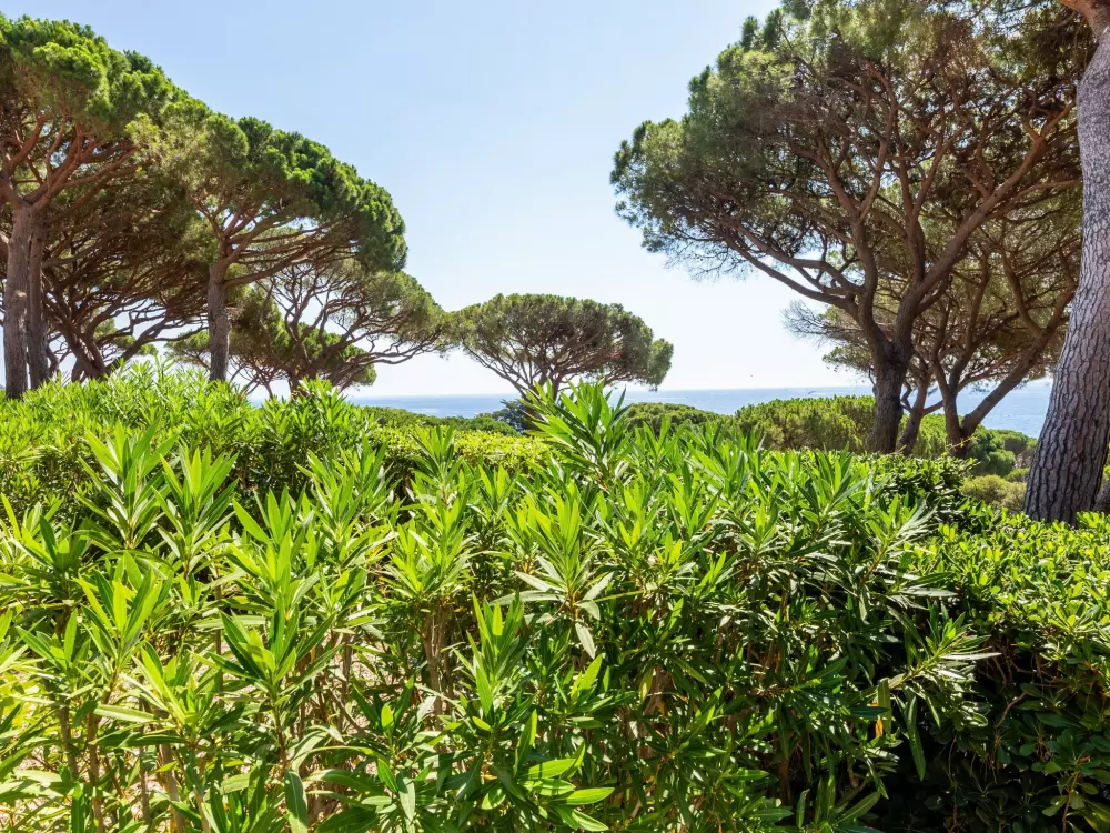 Résidence Les Coteaux de la Nartelle