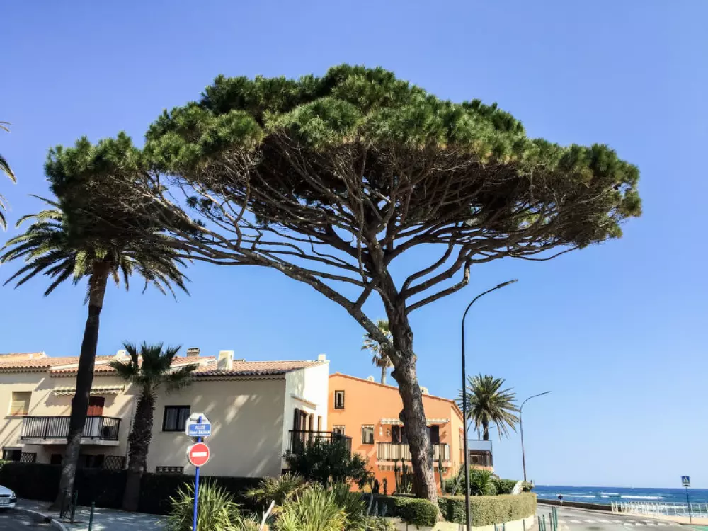 Résidence Les Embruns