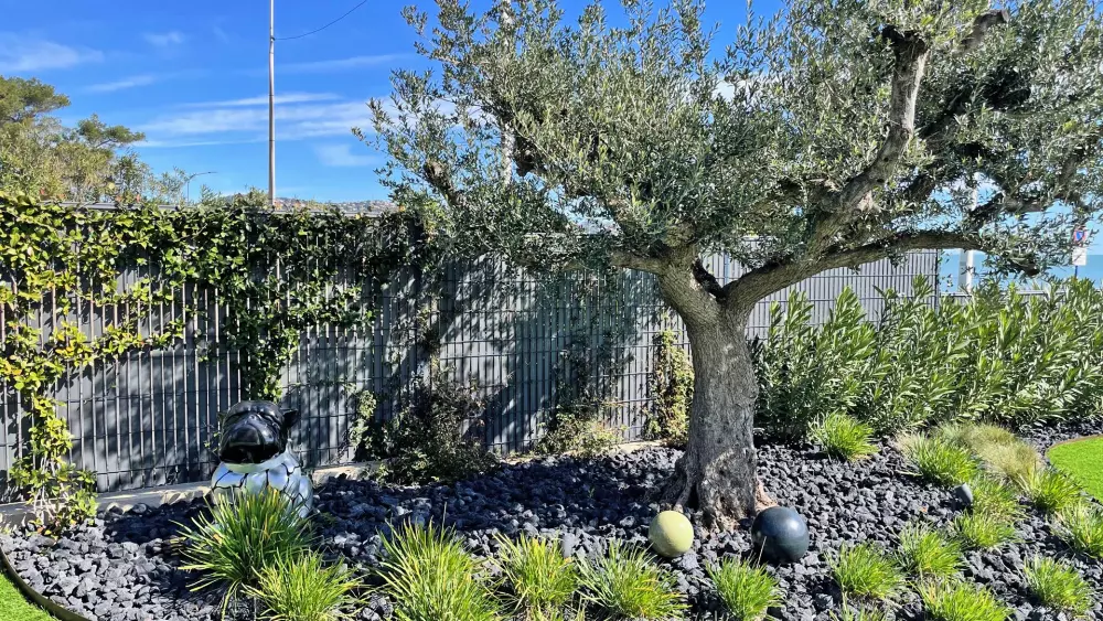 Résidence Terrasses De La Mer