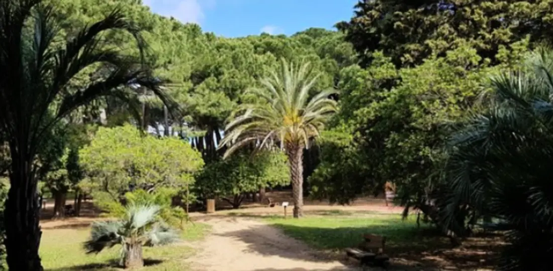 Studio Vue Mer Avec Terrasse Et Piscine Partagée