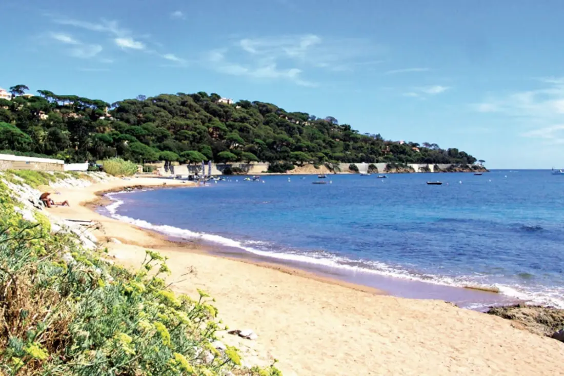 Studio Vue Mer Avec Terrasse Et Piscine Partagée