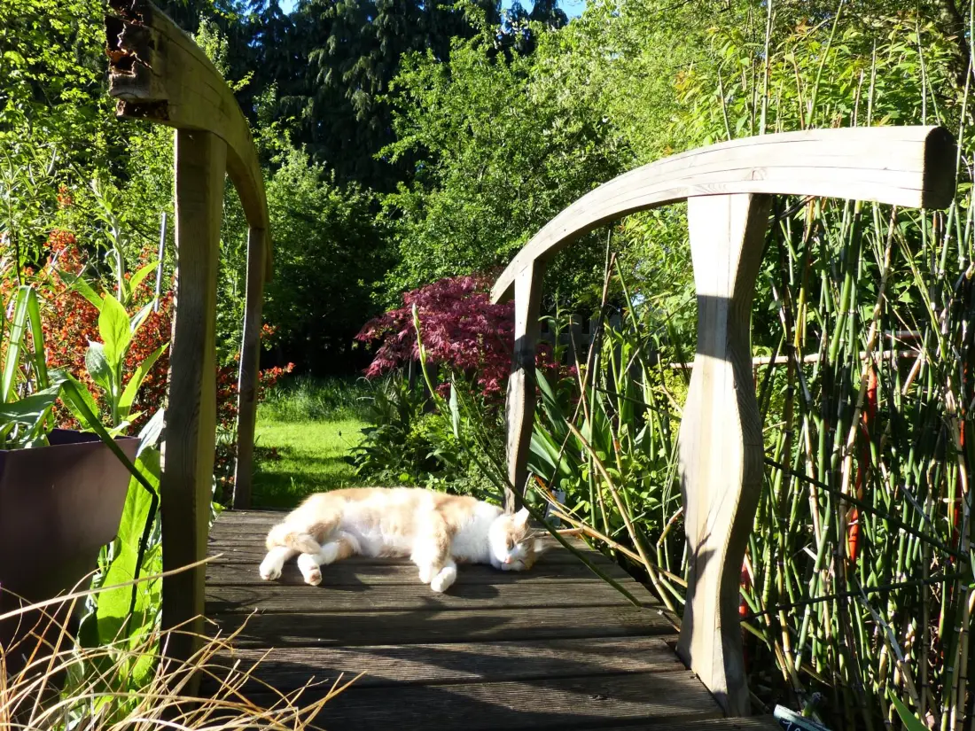 Maison de Vacances Sainte-Opportune 2