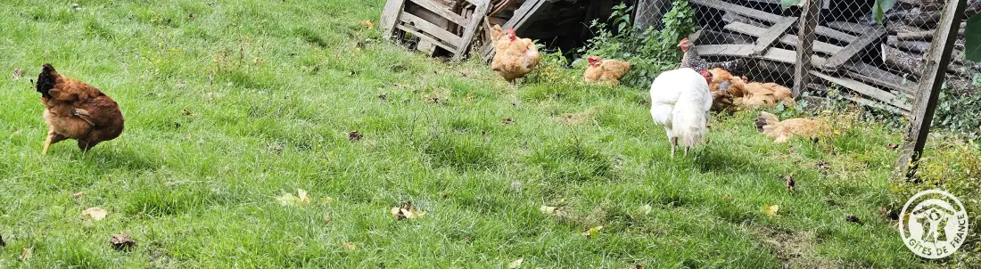 Gîte de France La maroussie 3 épis