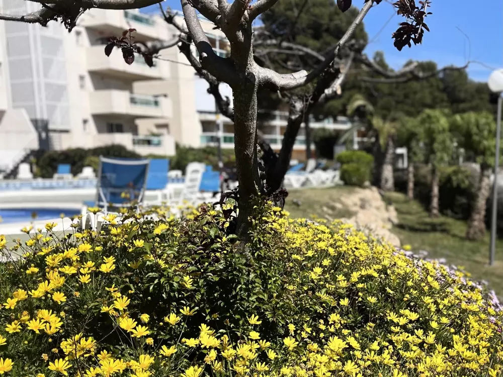 Location de Vacances Salou 257