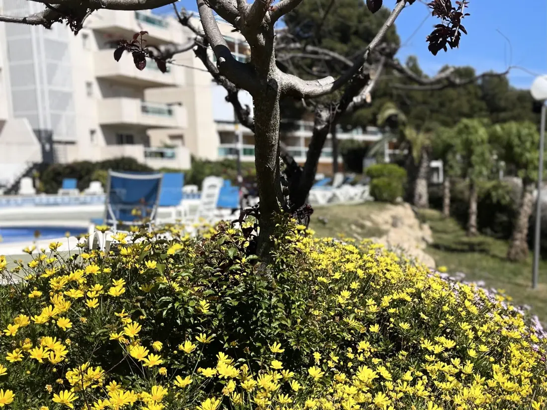 Location de Vacances Salou 257