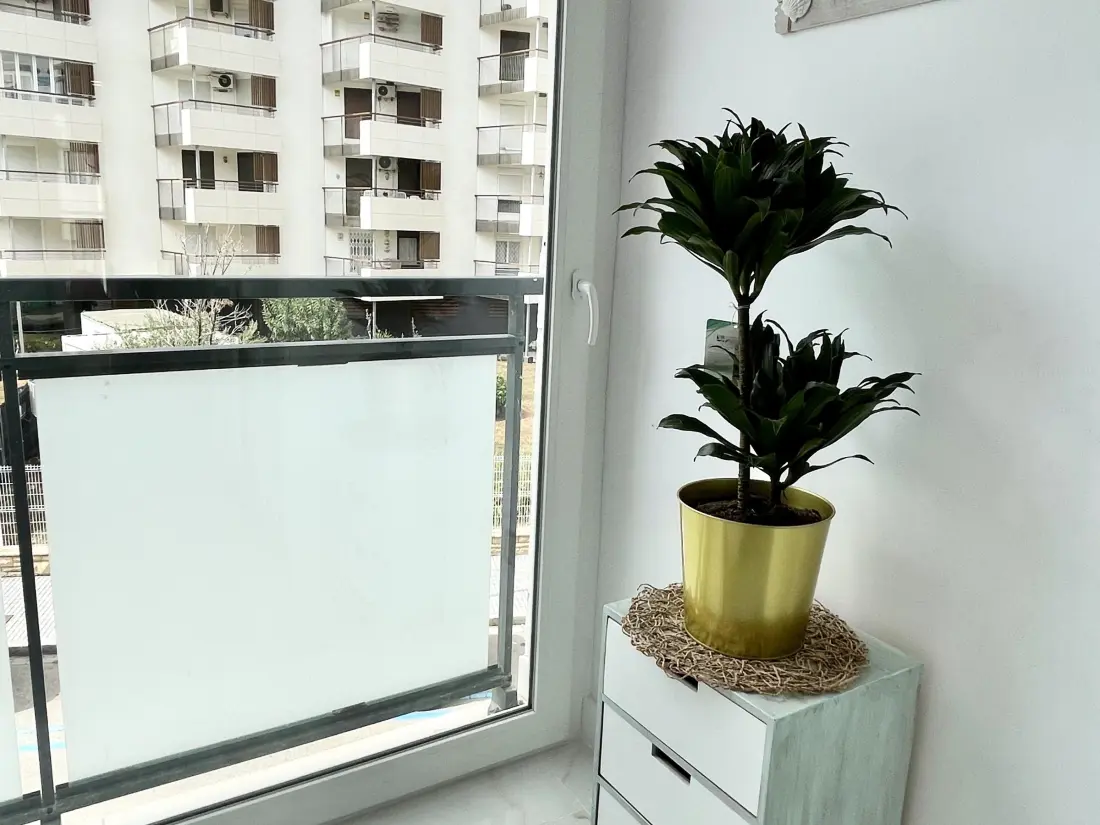 Location de Vacances Salou 490