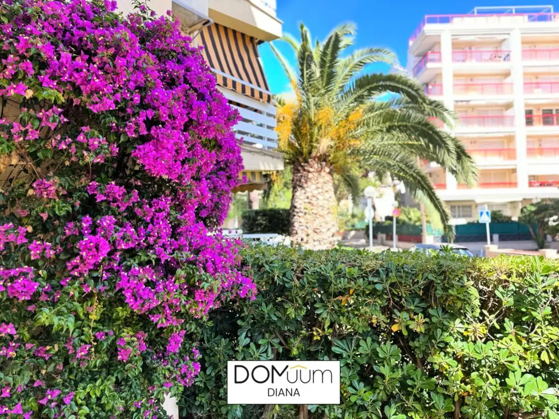 Location de Vacances Salou 575
