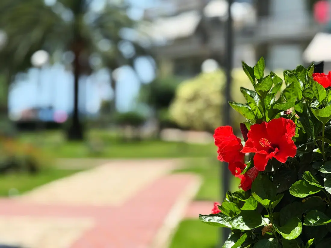 Location de Vacances Salou 667