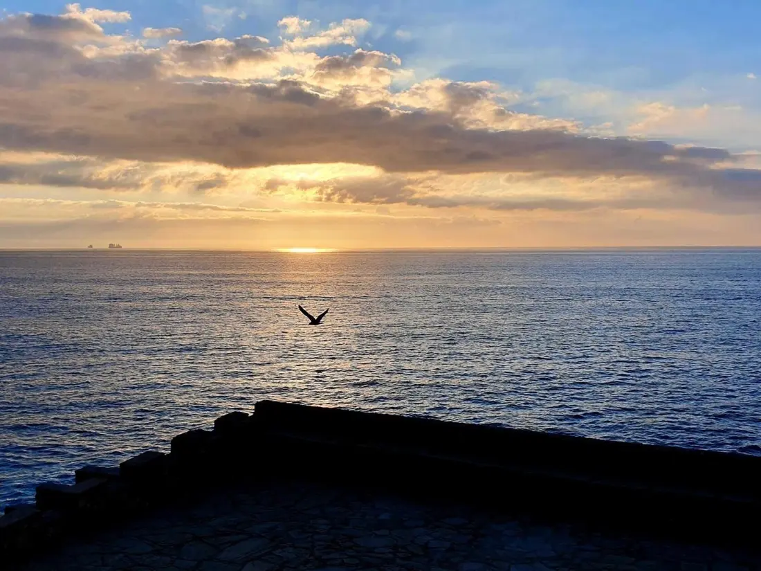 Location de Vacances Salou 677