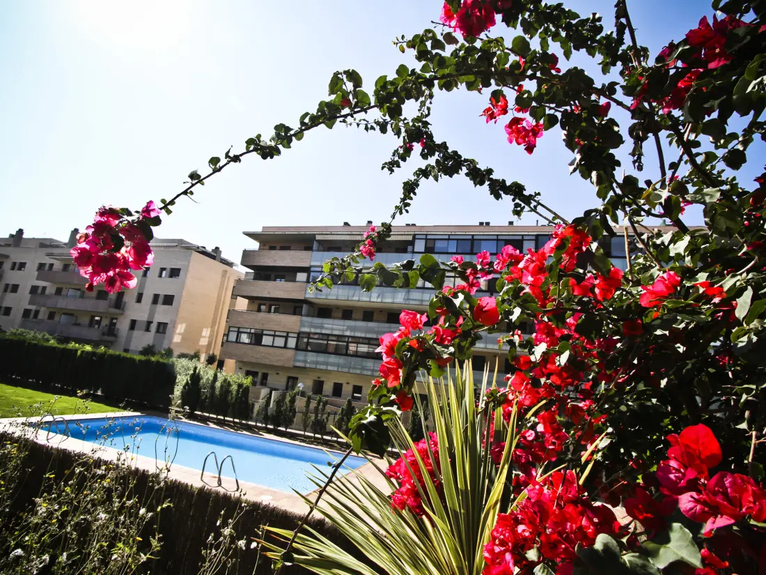 Location de Vacances Salou 917