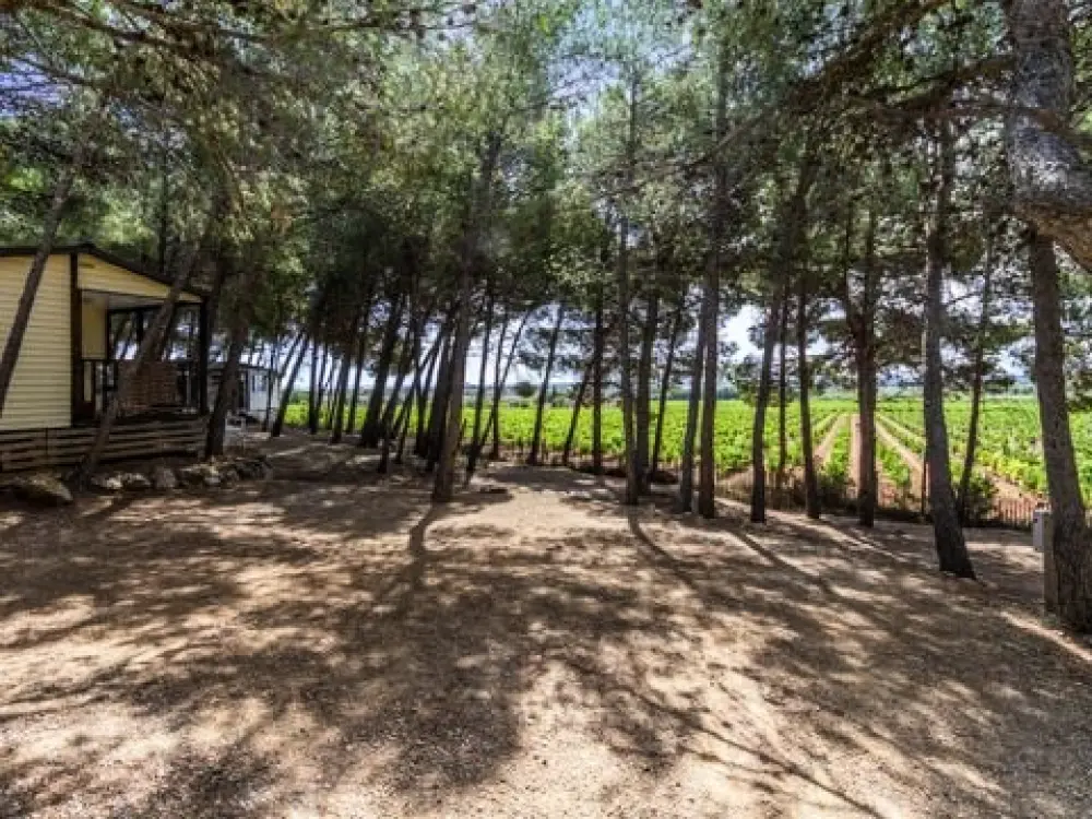 Camping Le Bois De Pins 3 étoiles★★★