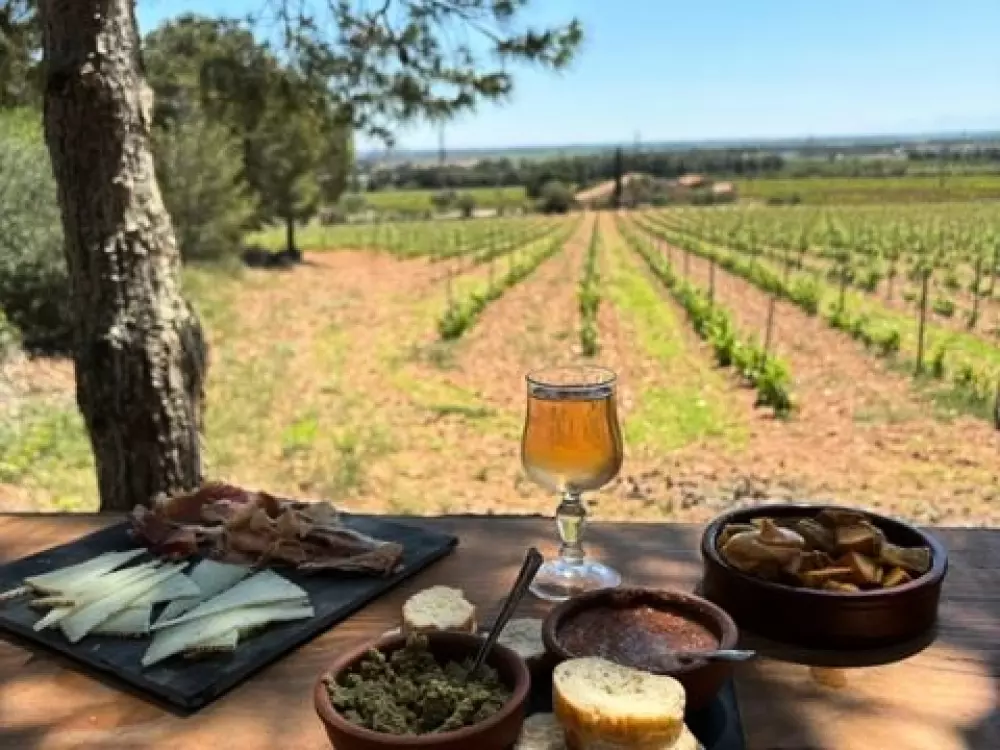 Camping Le Bois De Pins 3 étoiles★★★