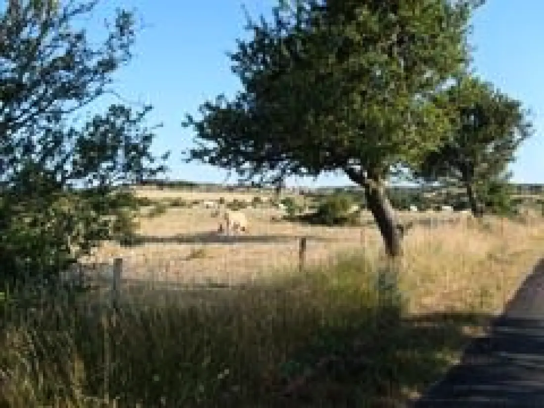 Gîte de France à Salza  3