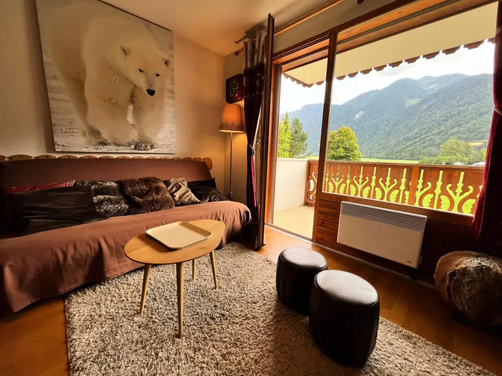 Location de Vacances Samoëns 113
