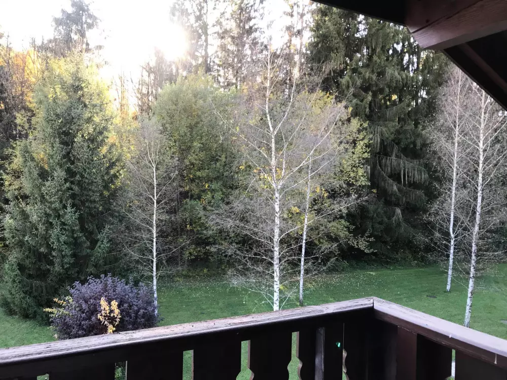 Location de Vacances Samoëns 156