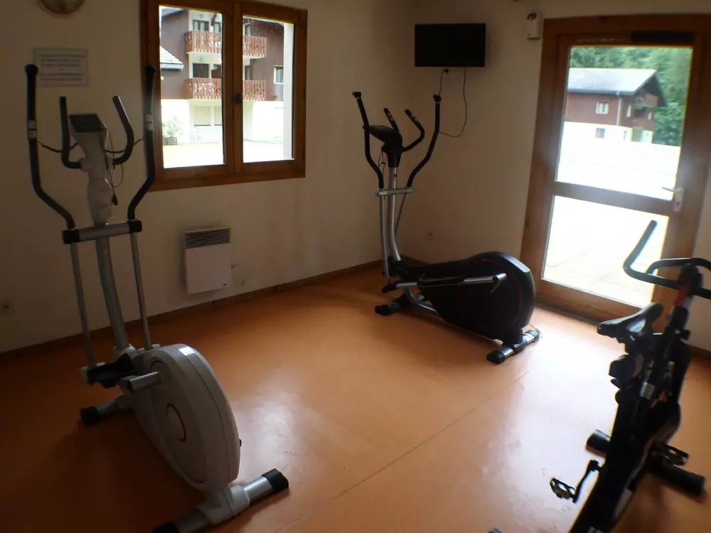 Location de Vacances Samoëns 156