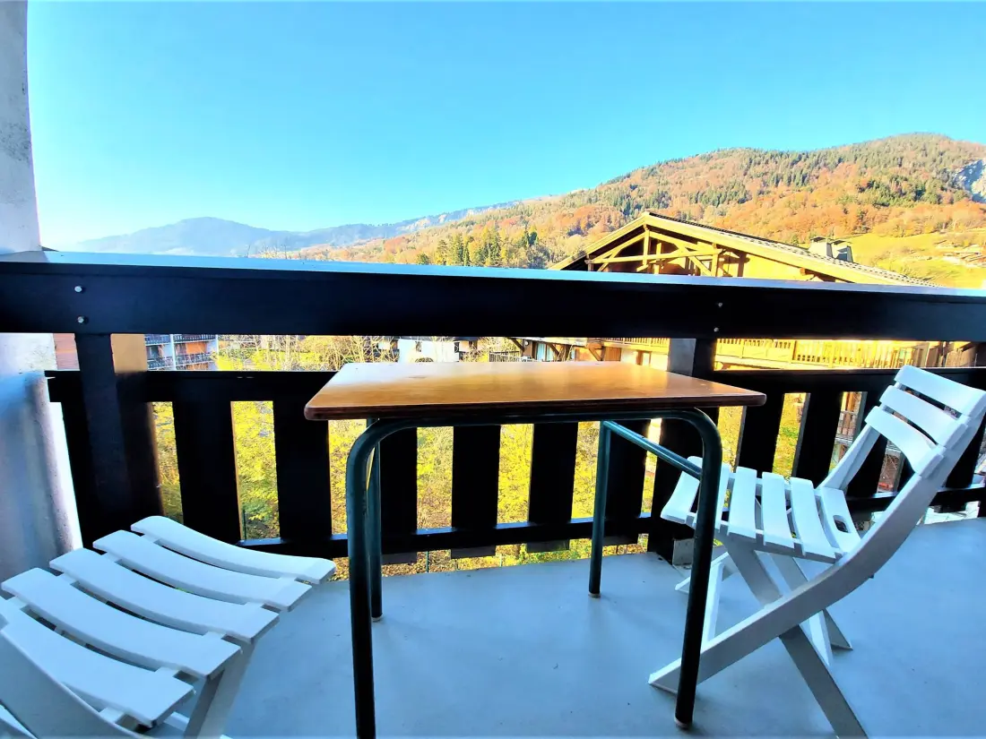 Location de Vacances Samoëns 162