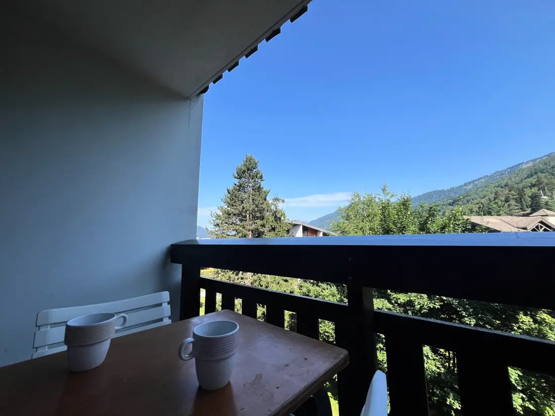 Location de Vacances Samoëns 162