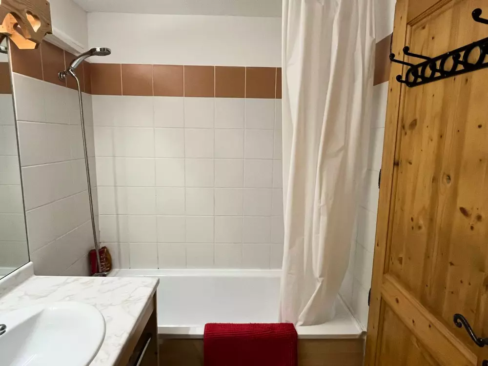 Location de Vacances Samoëns 187