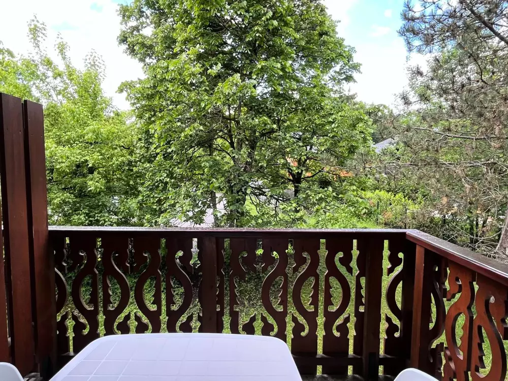 Location de Vacances Samoëns 187