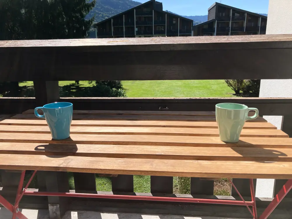 Location de Vacances Samoëns 199