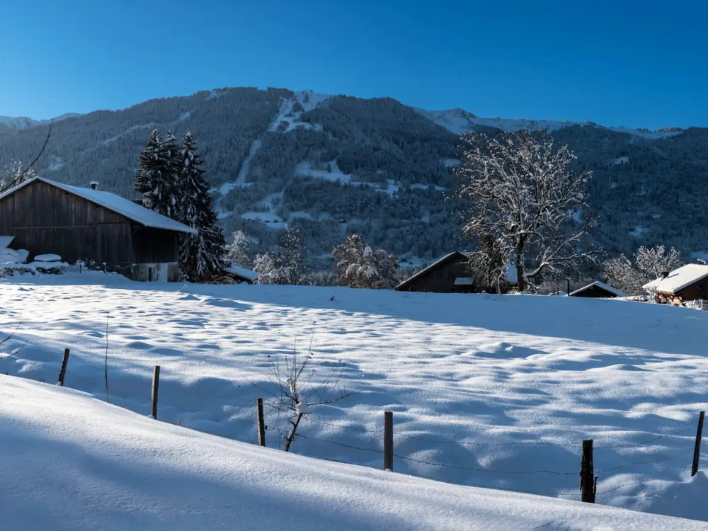 Location de Vacances Samoëns 211