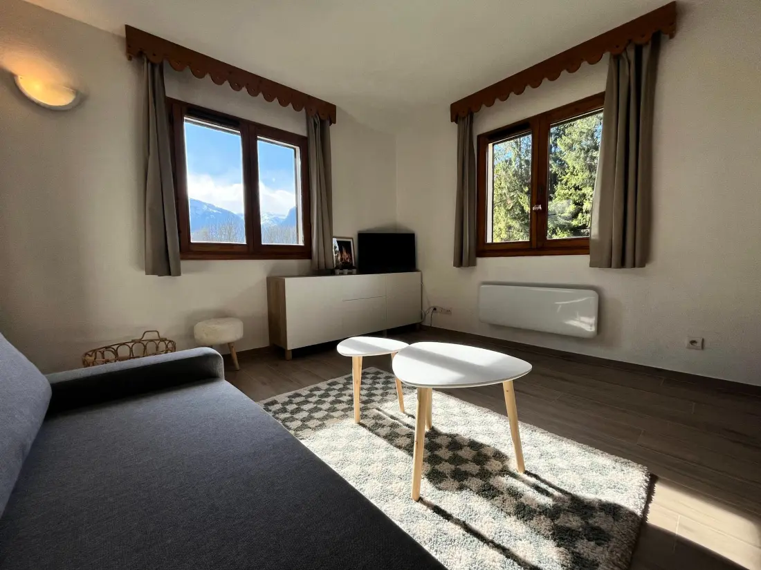 Location de Vacances Samoëns 215