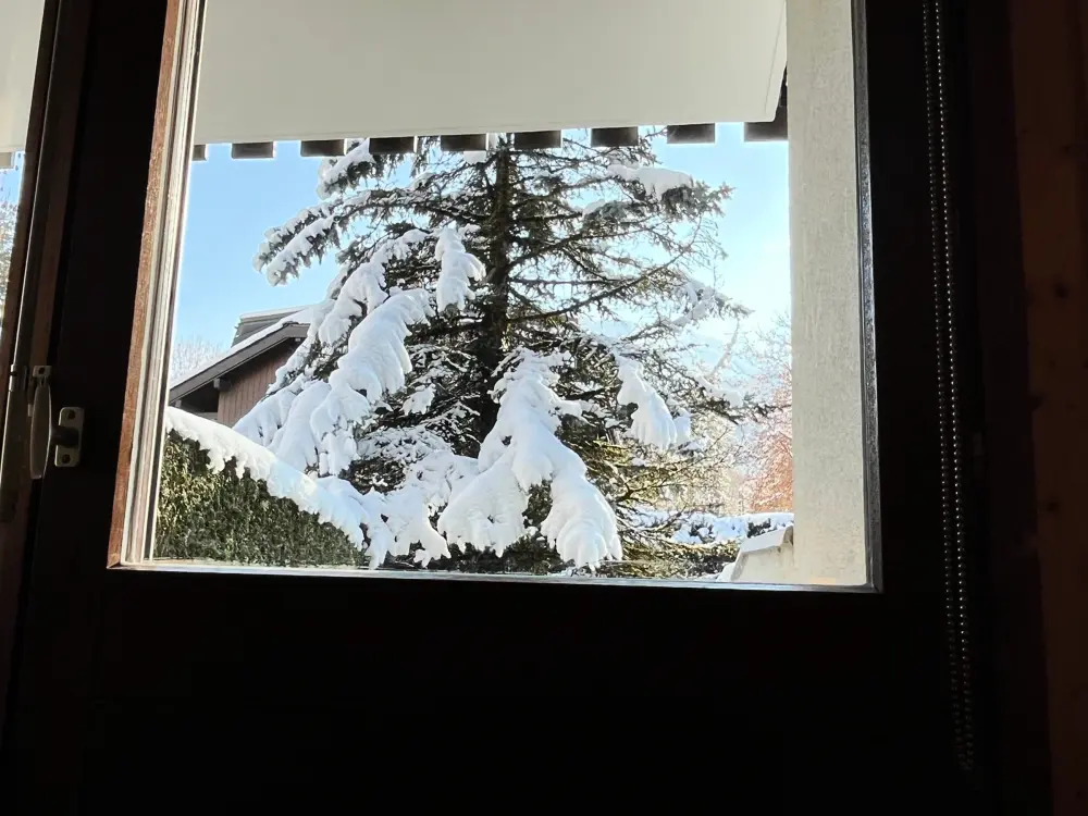 Location de Vacances Samoëns 22