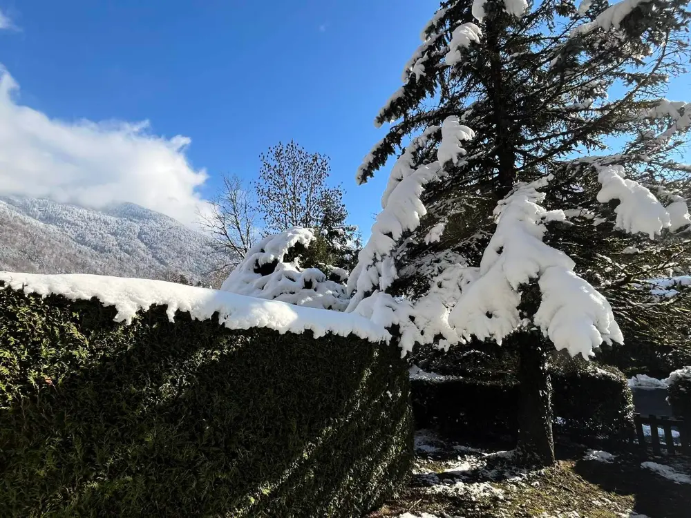 Location de Vacances Samoëns 22