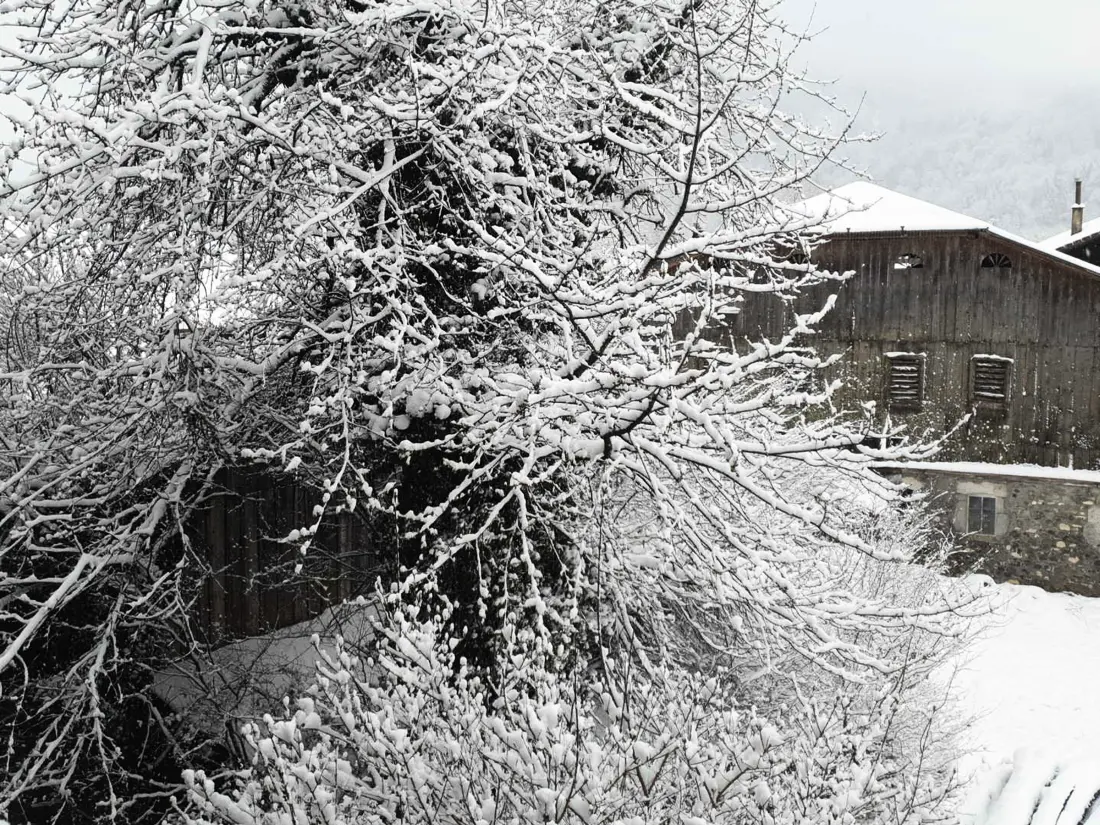 Location de Vacances Samoëns 227