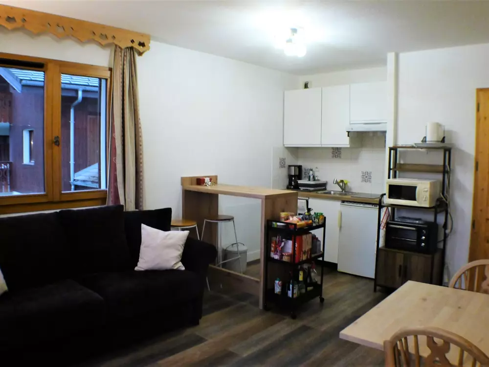 Location de Vacances Samoëns 228