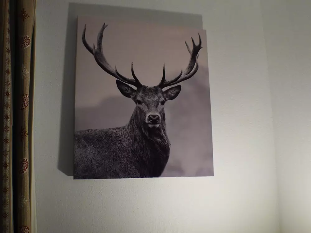 Location de Vacances Samoëns 228